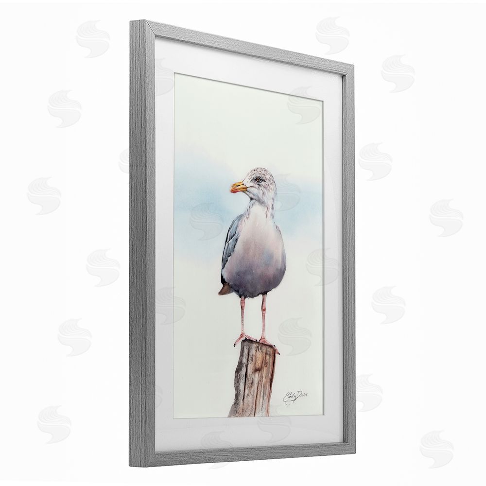 Cady Driver Seaside Seagull Perch Gray Framed Print Under Glass with White Mat Wall Art