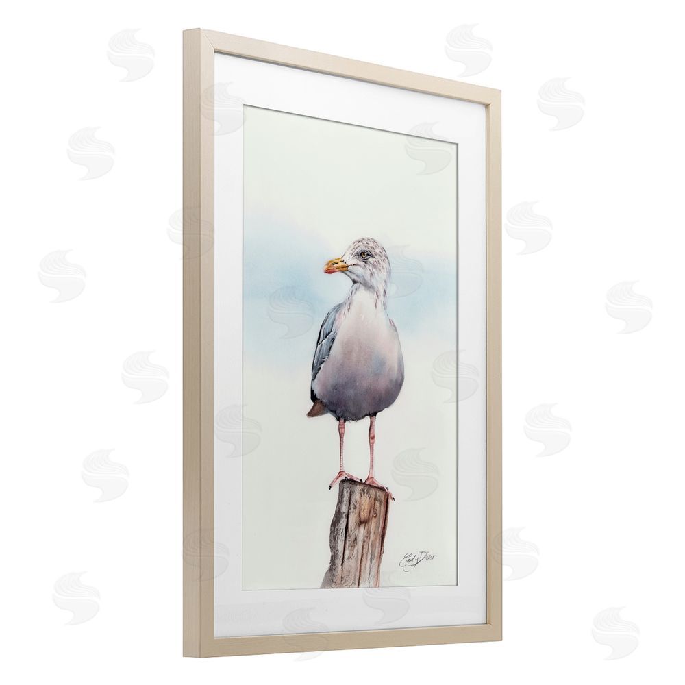 Cady Driver Seaside Seagull Perch Birch Framed Print Under Glass with White Mat Wall Art