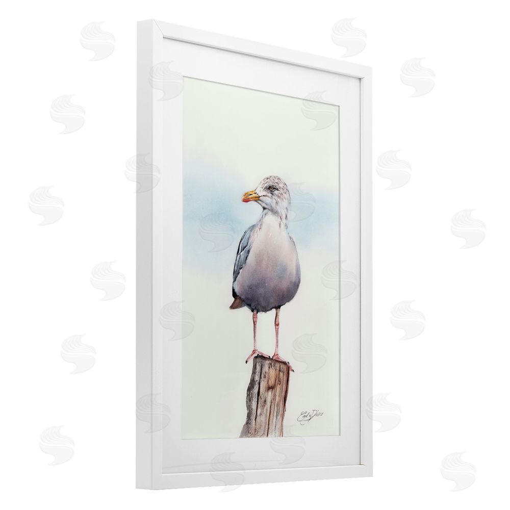 Cady Driver Seaside Seagull Perch White Framed Print Under Glass with Mat Wall Art