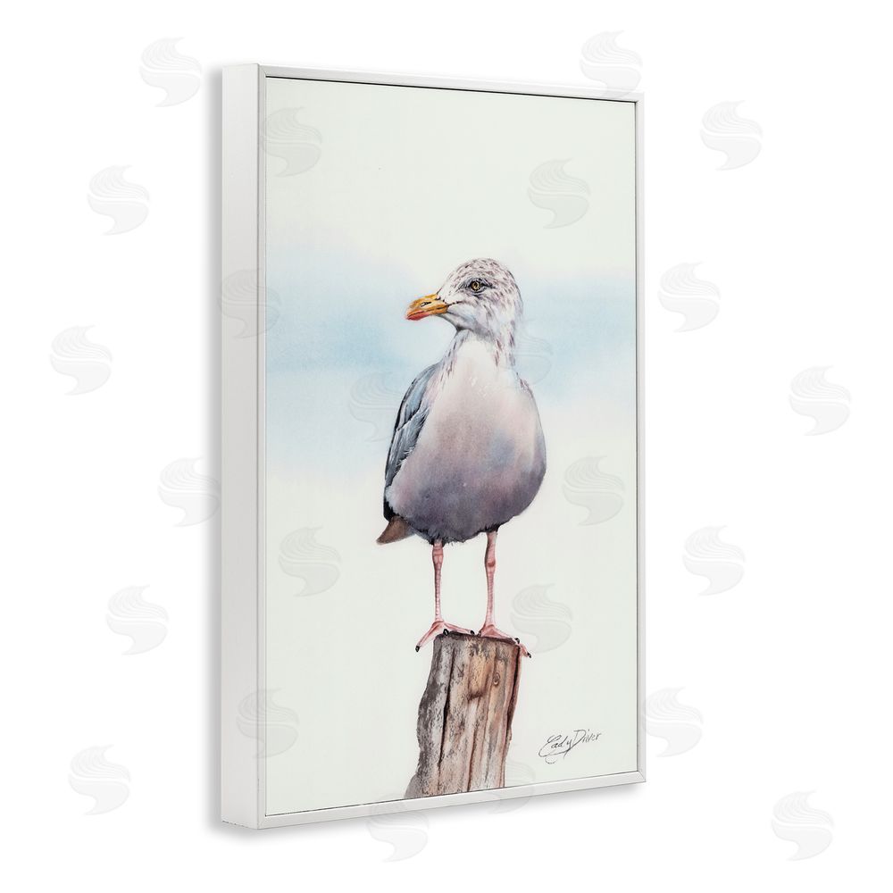 Cady Driver Seaside Seagull Perch White Framed Giclee Wall Art Print