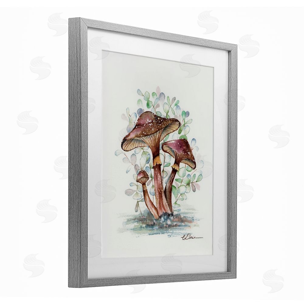 Cady Driver Earthy Fungi Mushrooms Gray Framed Print Under Glass with White Mat Wall Art