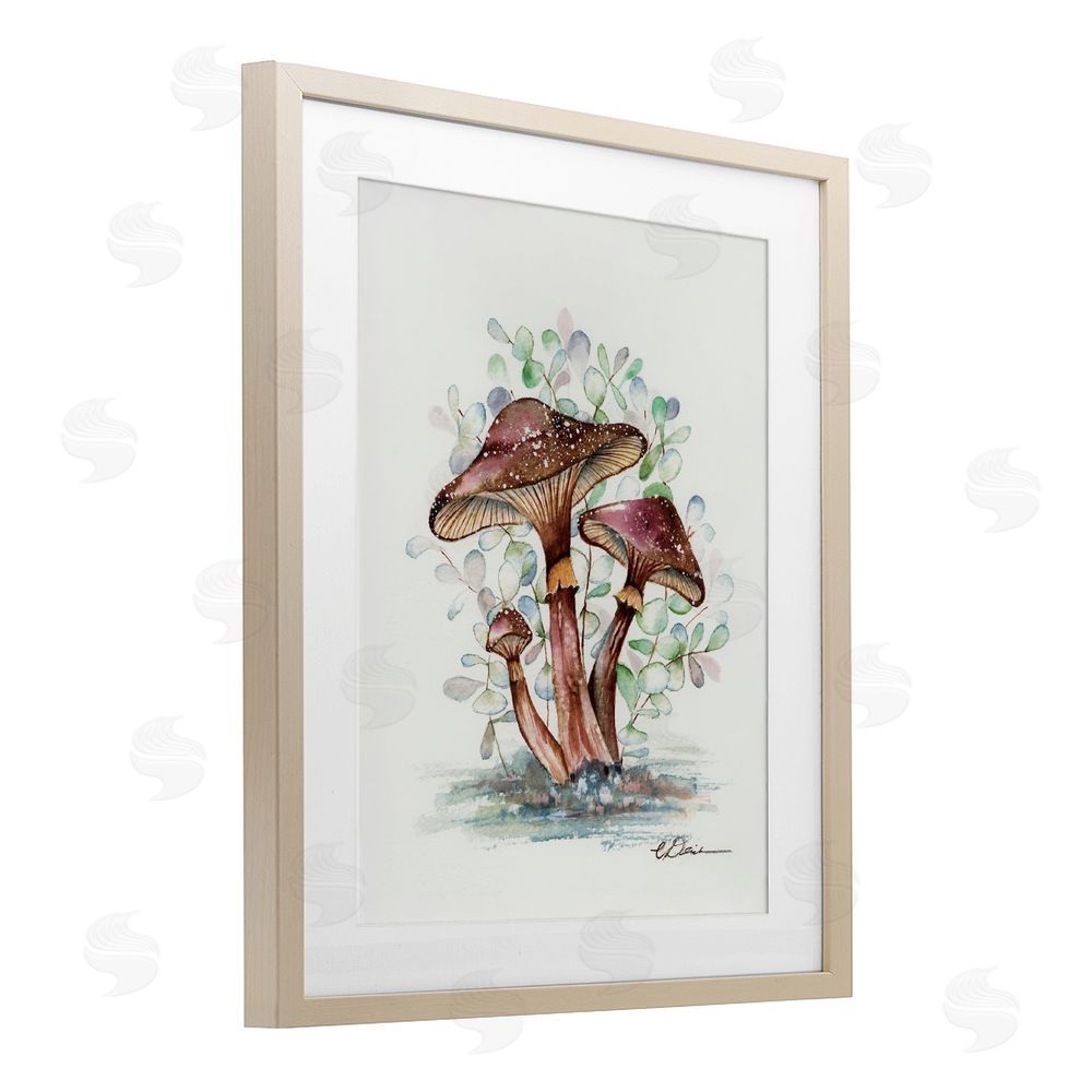 Cady Driver Earthy Fungi Mushrooms Birch Framed Print Under Glass with White Mat Wall Art