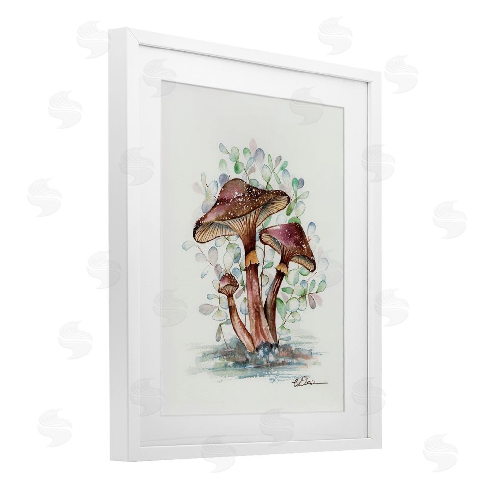 Cady Driver Earthy Fungi Mushrooms White Framed Print Under Glass with Mat Wall Art