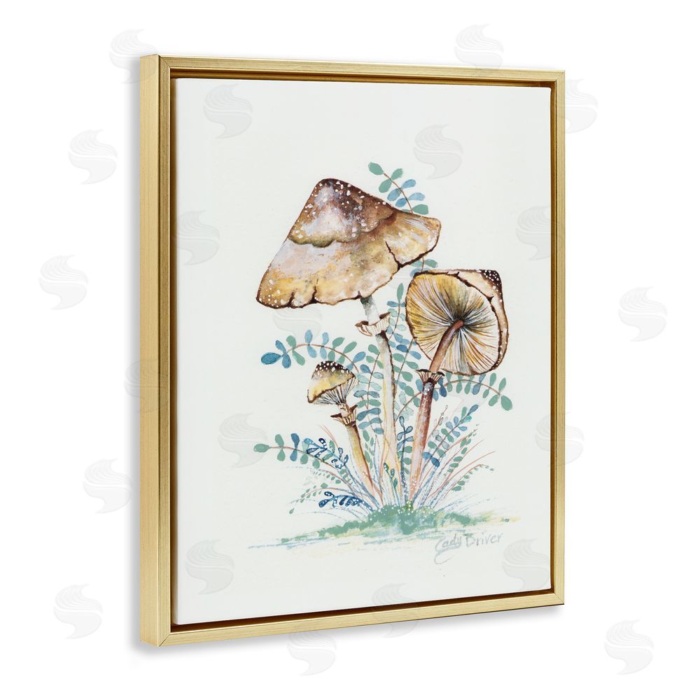 Cady Driver Natural Forest Mushrooms Trio Gold Floating Frame Canvas Wall Art Print