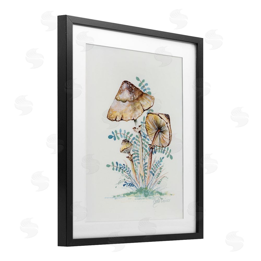 Cady Driver Natural Forest Mushrooms Trio Black Framed Print Under Glass with White Mat Wall Art