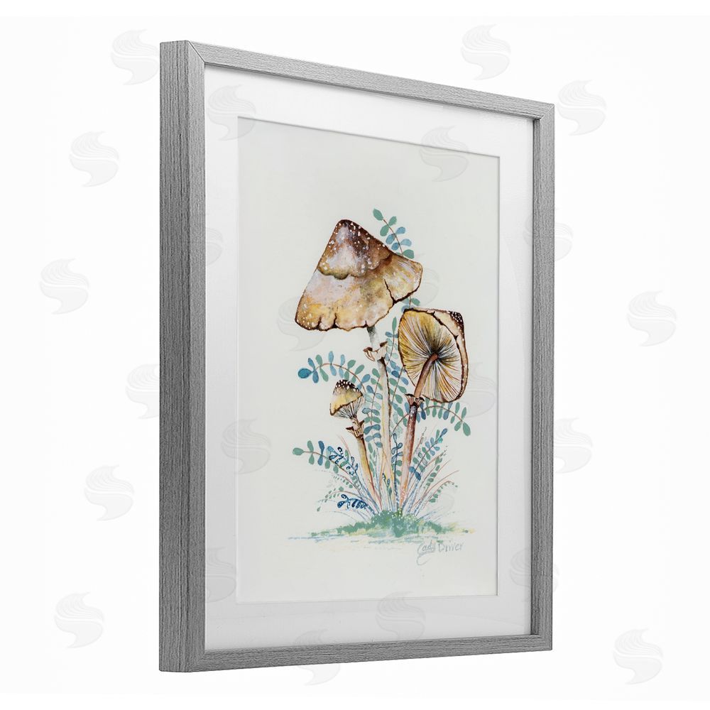 Cady Driver Natural Forest Mushrooms Trio Gray Framed Print Under Glass with White Mat Wall Art