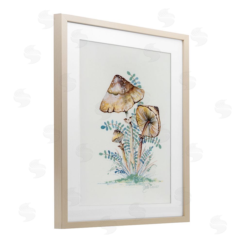 Cady Driver Natural Forest Mushrooms Trio Birch Framed Print Under Glass with White Mat Wall Art