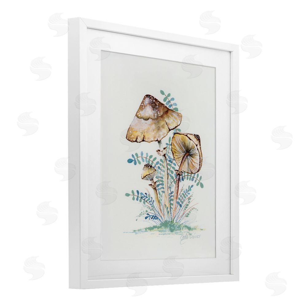 Cady Driver Natural Forest Mushrooms Trio White Framed Print Under Glass with Mat Wall Art