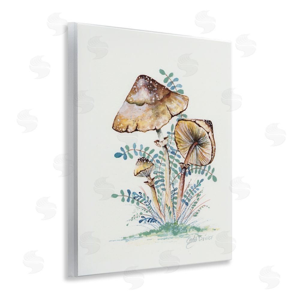 Cady Driver Natural Forest Mushrooms Trio Wall Plaque Art Print