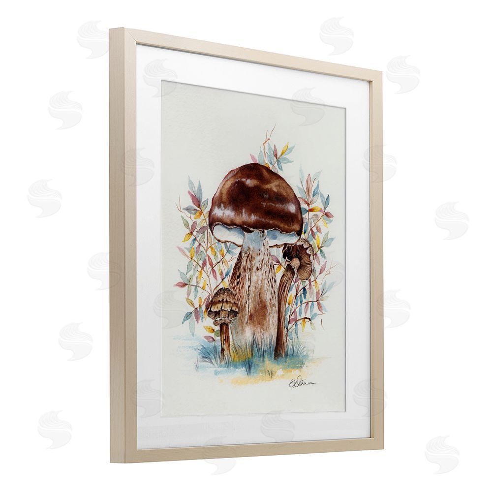 Cady Driver Woodland Mushrooms Triplet Birch Framed Print Under Glass with White Mat Wall Art