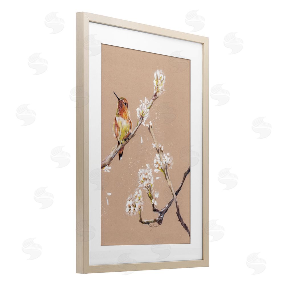 Cady Driver Resting Hummingbird on Branch Birch Framed Print Under Glass with White Mat Wall Art