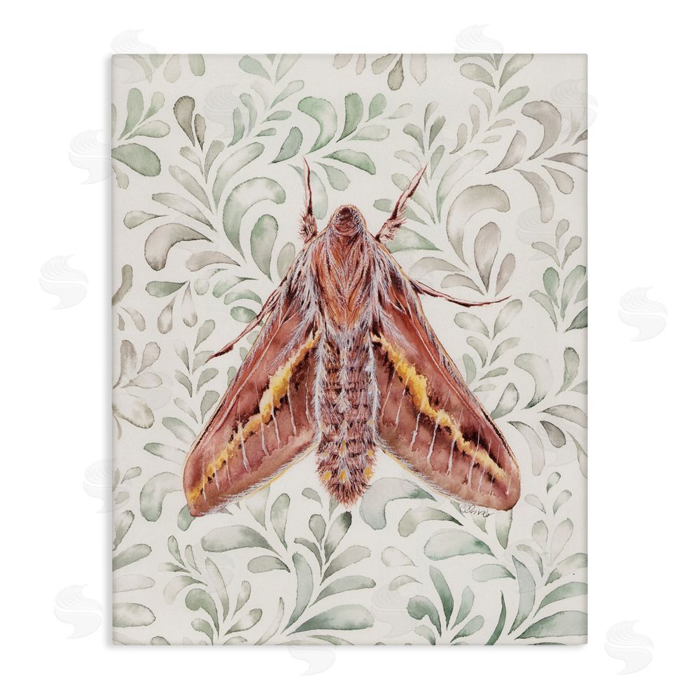 Cady Driver Moth Over Leaf Sprigs Canvas Wall Art Print