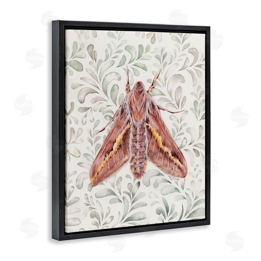Cady Driver Moth Over Leaf Sprigs Black Floating Frame Canvas Wall Art Print
