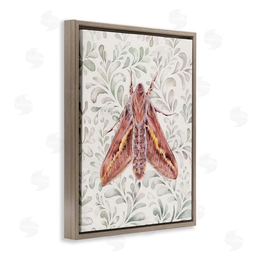 Cady Driver Moth Over Leaf Sprigs Brown Floating Frame Canvas Wall Art Print