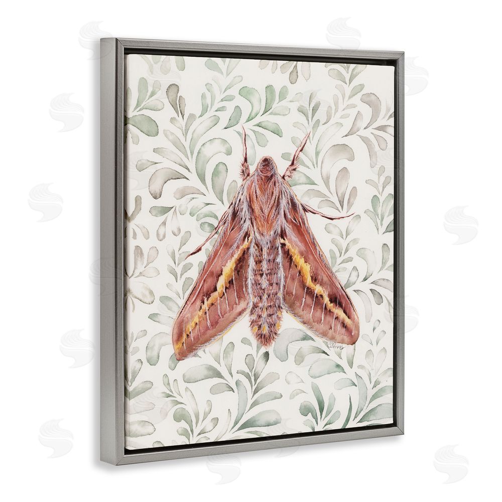 Cady Driver Moth Over Leaf Sprigs Gray Floating Frame Canvas Wall Art Print