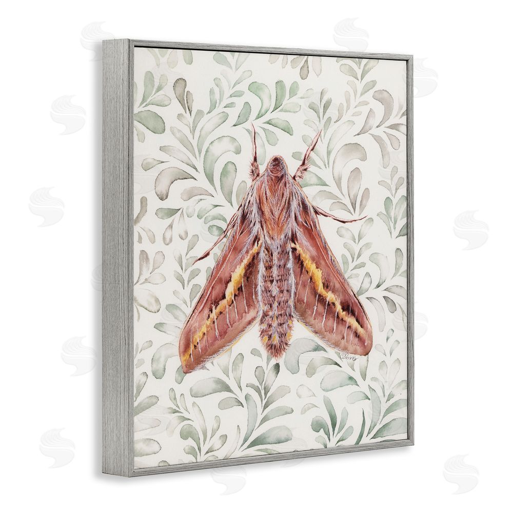 Cady Driver Moth Over Leaf Sprigs Gray Framed Giclee Wall Art Print