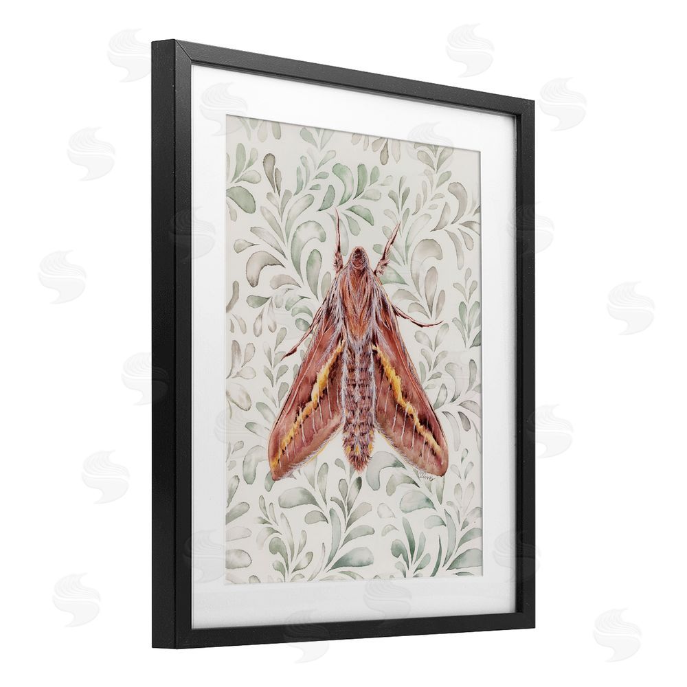 Cady Driver Moth Over Leaf Sprigs Black Framed Print Under Glass with White Mat Wall Art