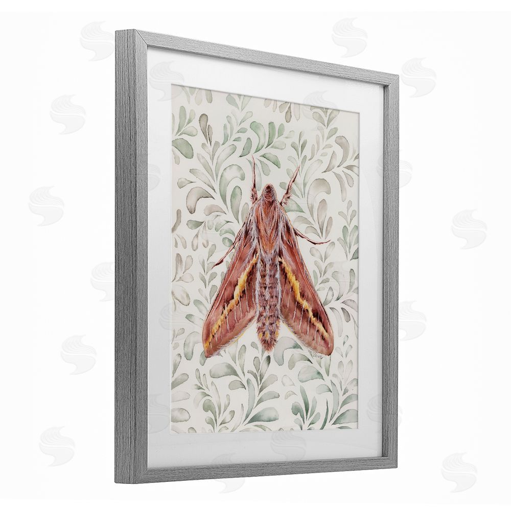 Cady Driver Moth Over Leaf Sprigs Gray Framed Print Under Glass with White Mat Wall Art