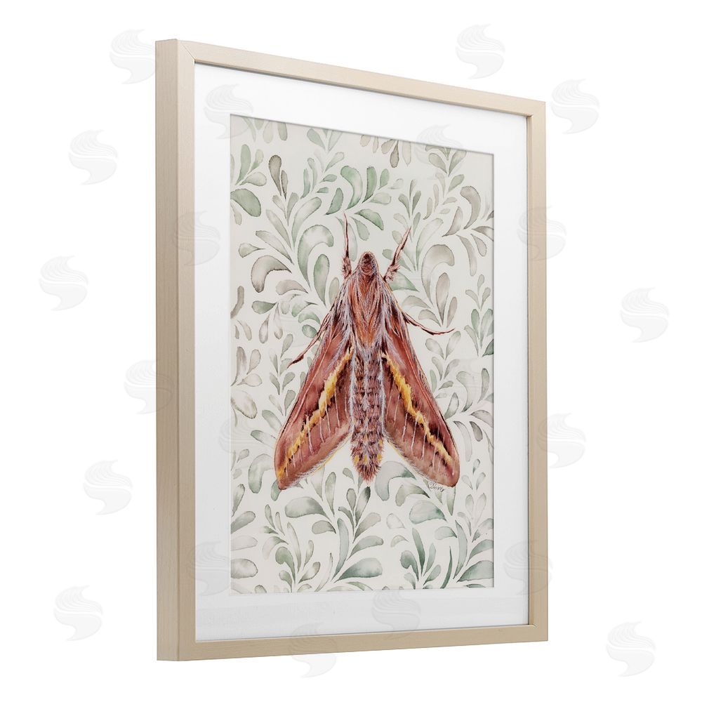 Cady Driver Moth Over Leaf Sprigs Birch Framed Print Under Glass with White Mat Wall Art