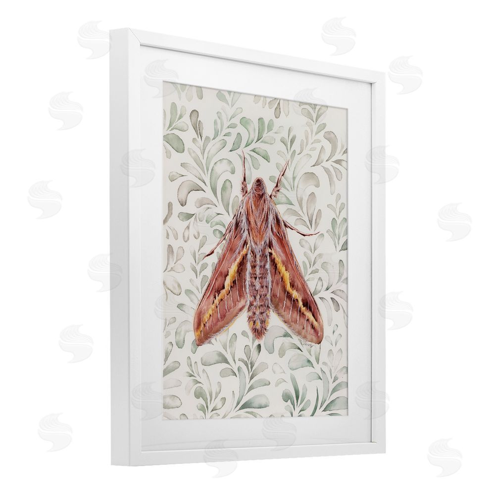 Cady Driver Moth Over Leaf Sprigs White Framed Print Under Glass with Mat Wall Art