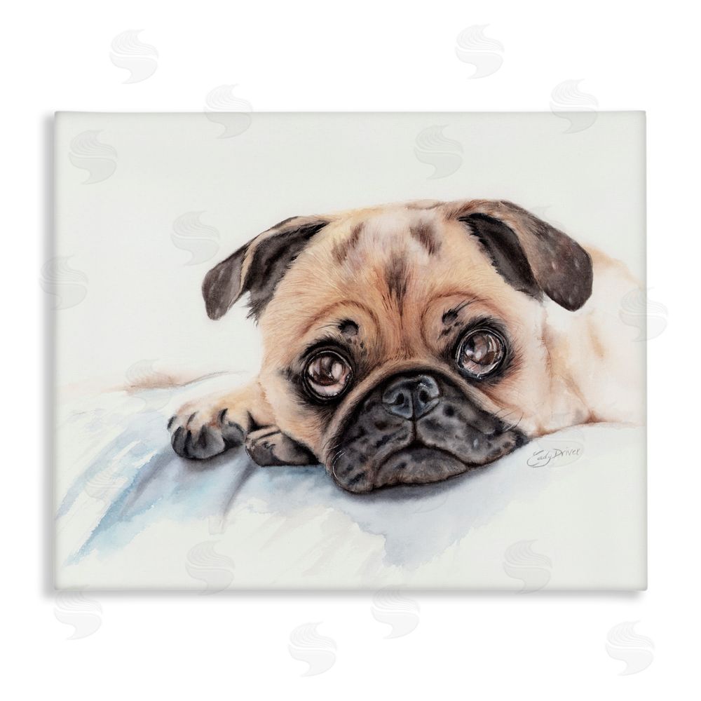 Cady Driver Innocent Pug Relaxing Canvas Wall Art Print