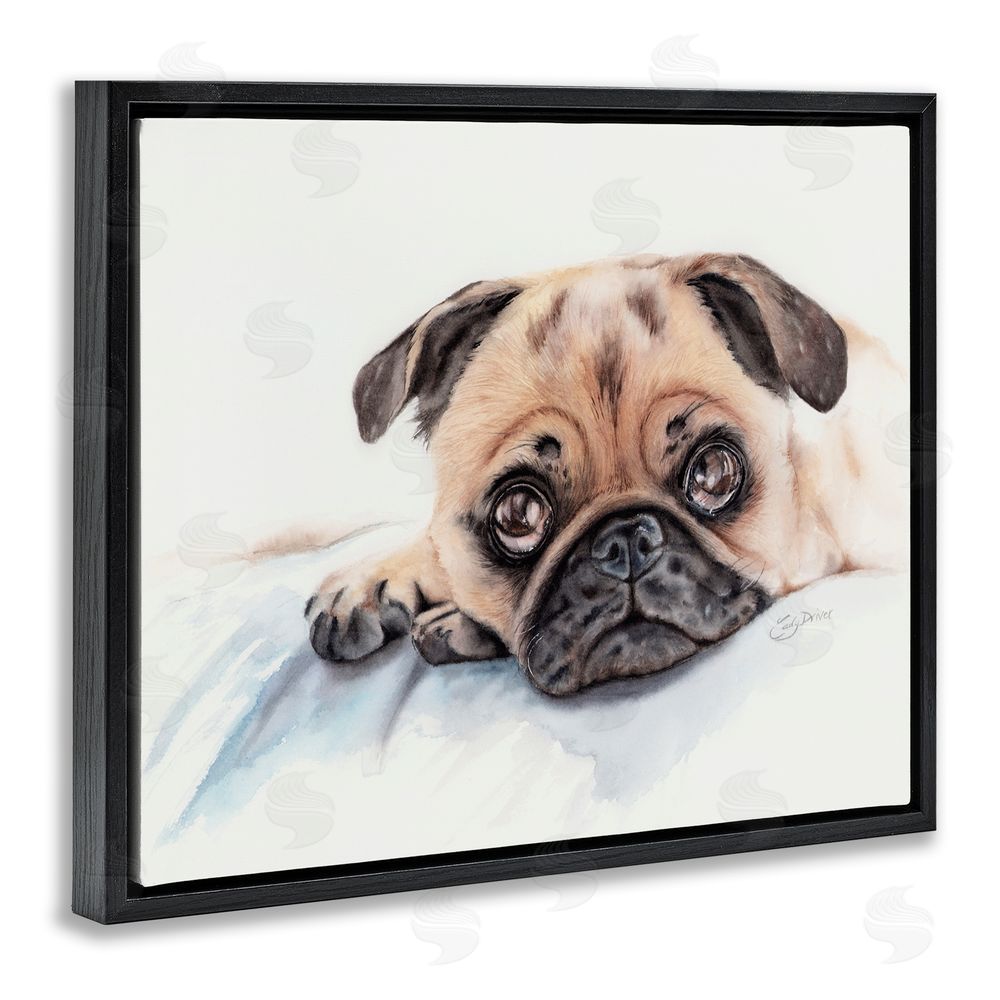 Cady Driver Innocent Pug Relaxing Black Floating Frame Canvas Wall Art Print