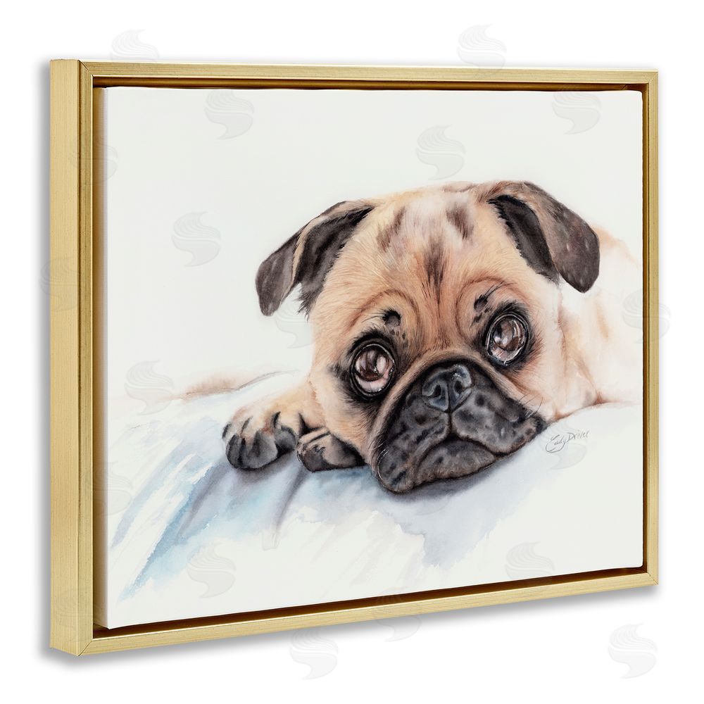 Cady Driver Innocent Pug Relaxing Gold Floating Frame Canvas Wall Art Print