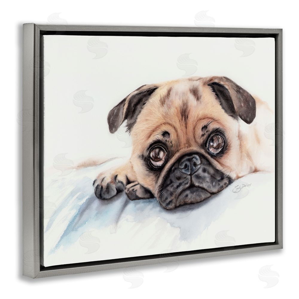 Cady Driver Innocent Pug Relaxing Gray Floating Frame Canvas Wall Art Print