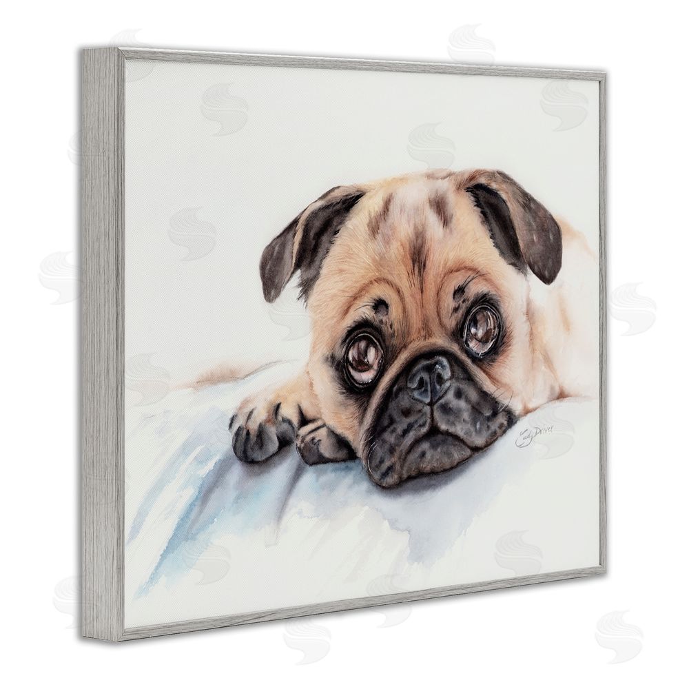Cady Driver Innocent Pug Relaxing Gray Framed Giclee Wall Art Print