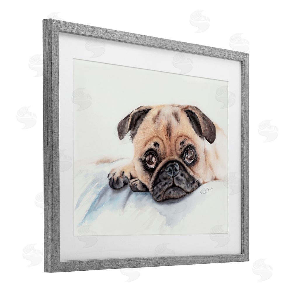 Cady Driver Innocent Pug Relaxing Gray Framed Print Under Glass with White Mat Wall Art