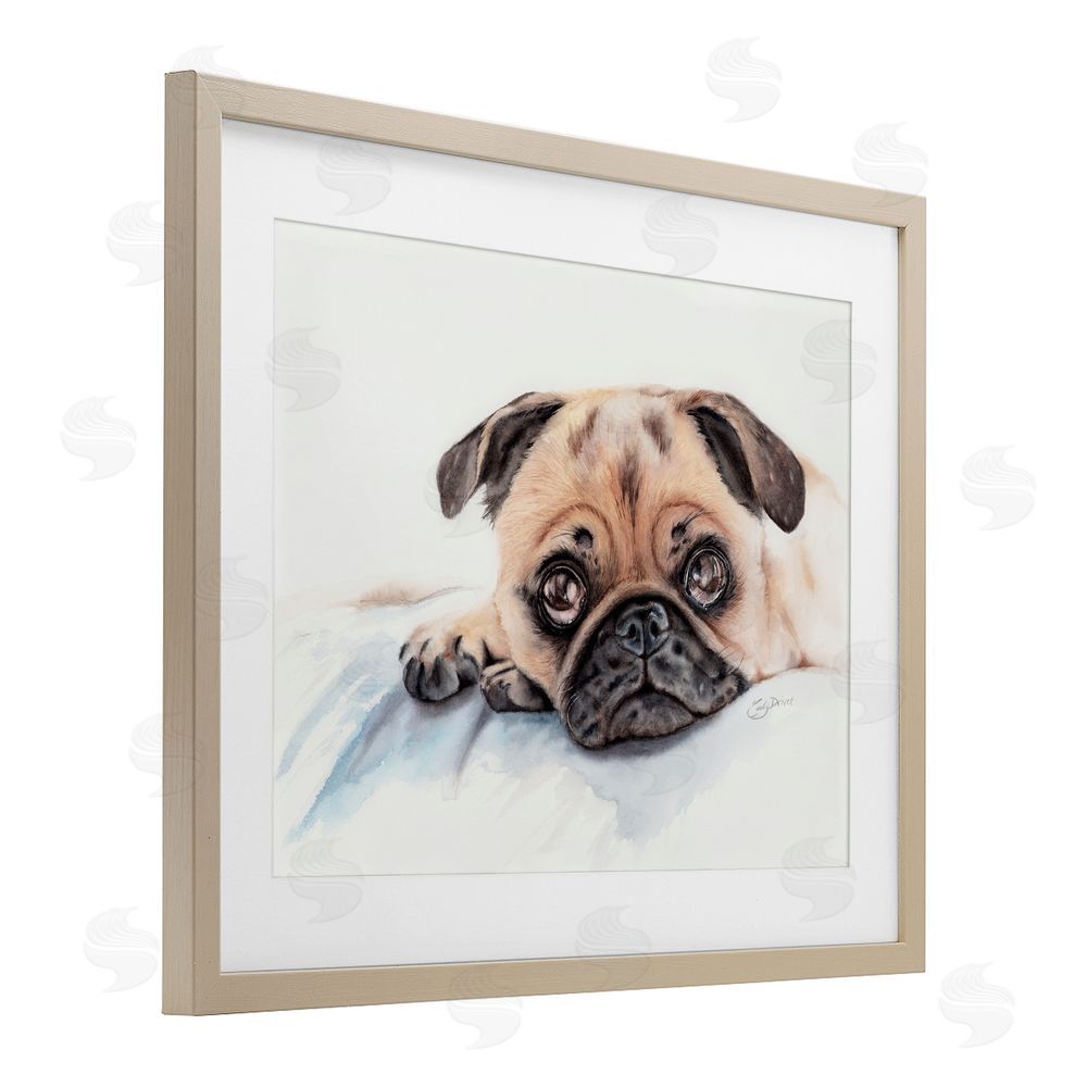 Cady Driver Innocent Pug Relaxing Birch Framed Print Under Glass with White Mat Wall Art