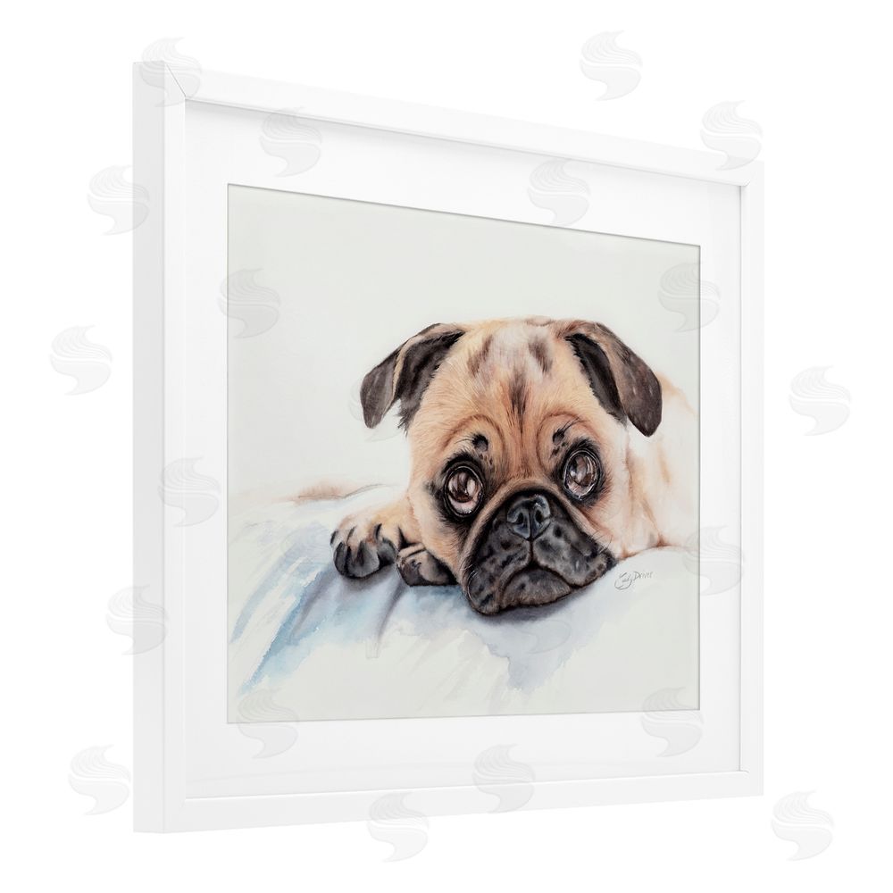 Cady Driver Innocent Pug Relaxing White Framed Print Under Glass with Mat Wall Art