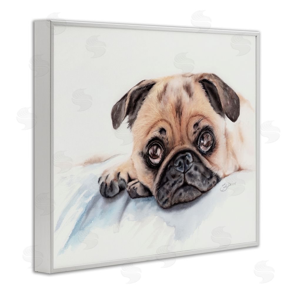 Cady Driver Innocent Pug Relaxing White Framed Giclee Wall Art Print