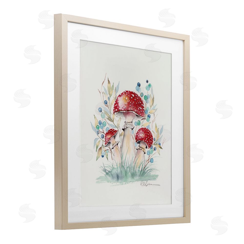 Cady Driver Toadstool Mushroom Trio Birch Framed Print Under Glass with White Mat Wall Art