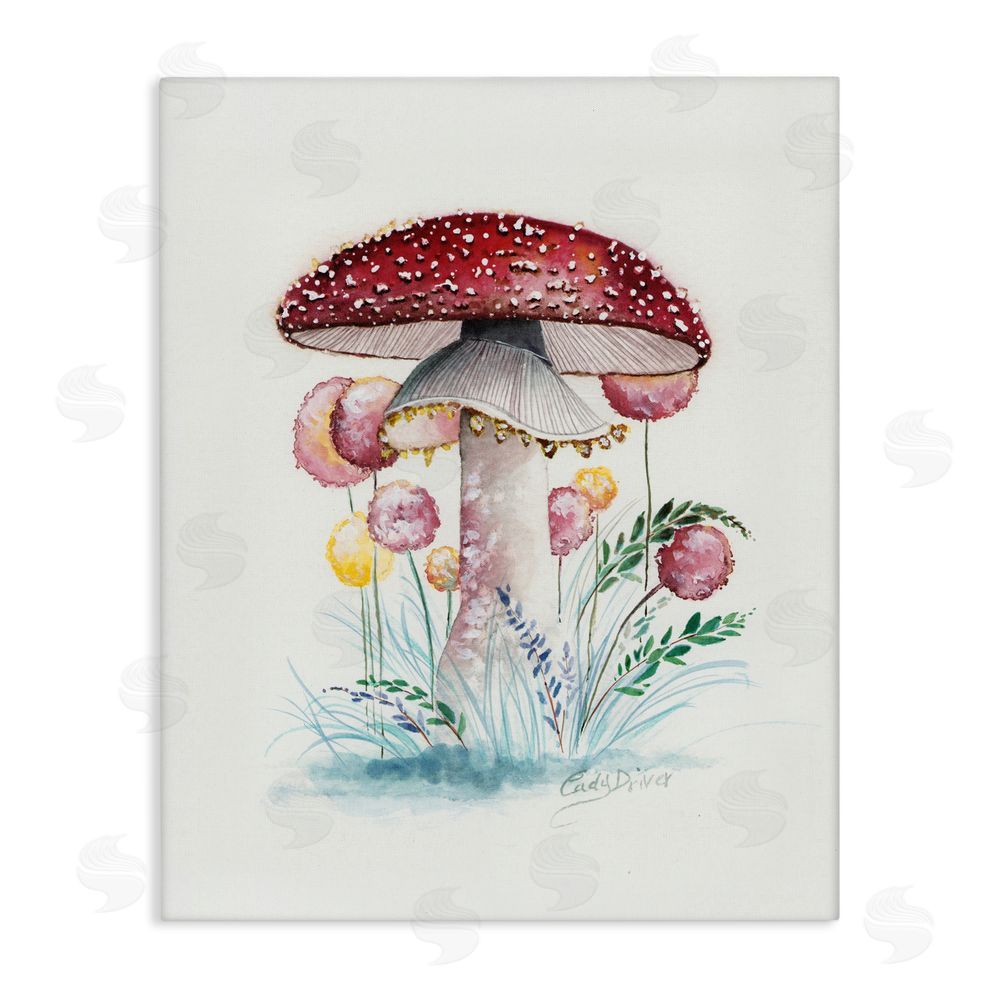 Cady Driver Red Capped Organic Mushroom Canvas Wall Art Print