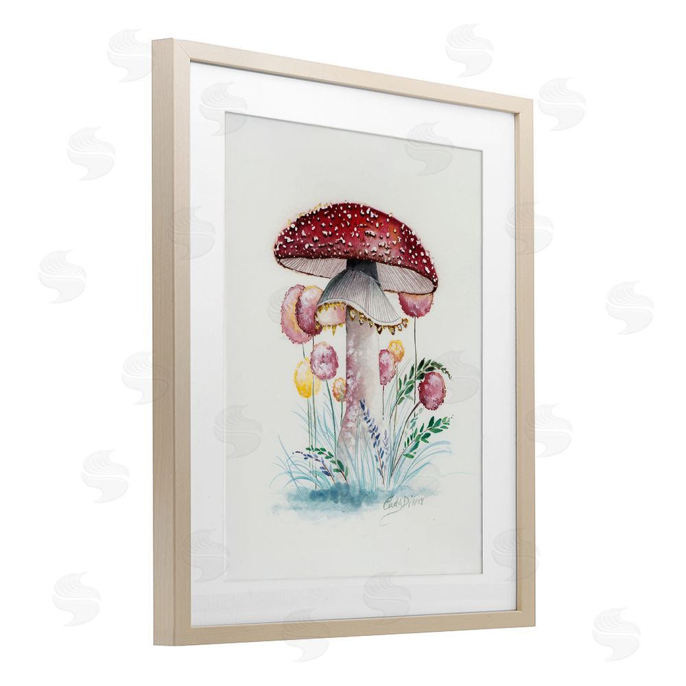 Cady Driver Red Capped Organic Mushroom Birch Framed Print Under Glass with White Mat Wall Art