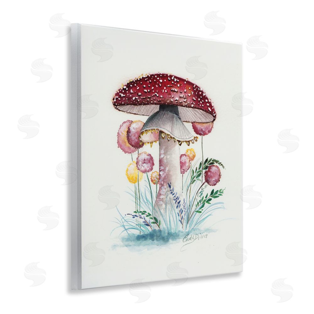 Cady Driver Red Capped Organic Mushroom Wall Plaque Art Print