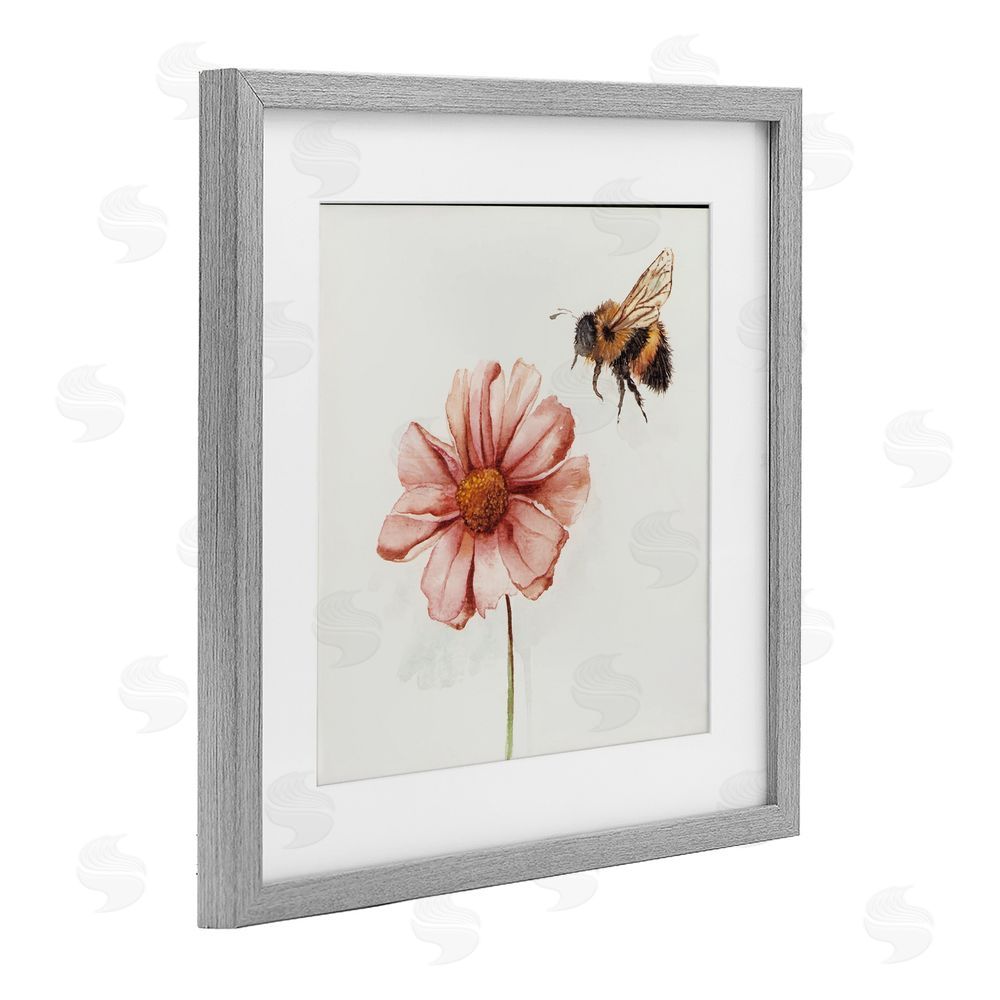 Cady Driver Spring Pollination Bee Gray Framed Print Under Glass with White Mat Wall Art