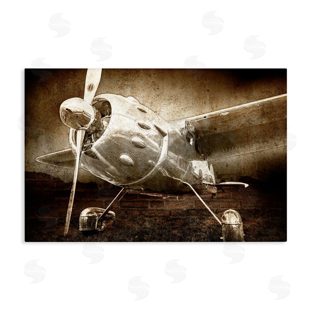 Kim Allen Taking Flight Vintage Stretched Canvas Wall Art Print