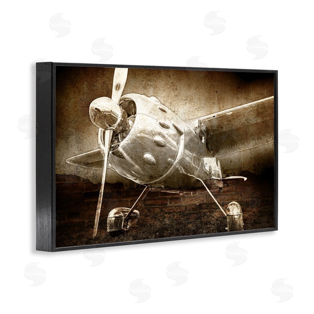 Kim Allen Taking Flight Vintage Black Framed Giclee Wall Art Print