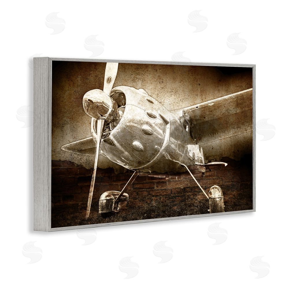 Kim Allen Taking Flight Vintage Gray Framed Giclee Wall Art Print