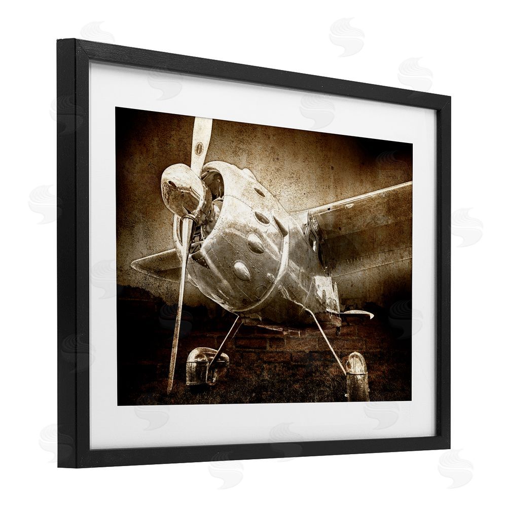 Kim Allen Taking Flight Vintage Black Framed Print Under Glass Wall Art