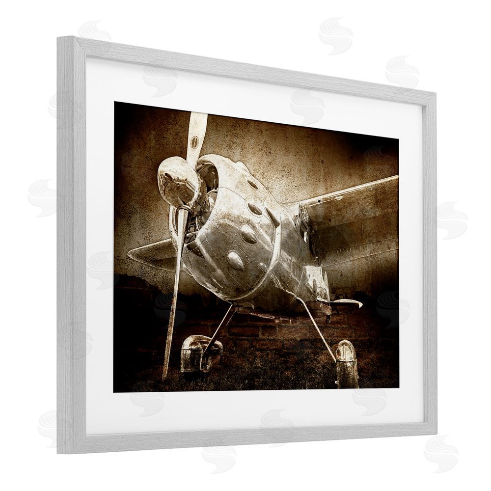 Kim Allen Taking Flight Vintage Gray Framed Print Under Glass Wall Art
