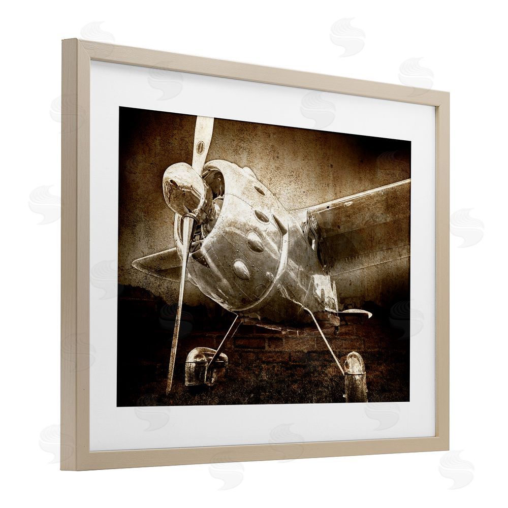 Kim Allen Taking Flight Vintage Brown Framed Print Under Glass Wall Art