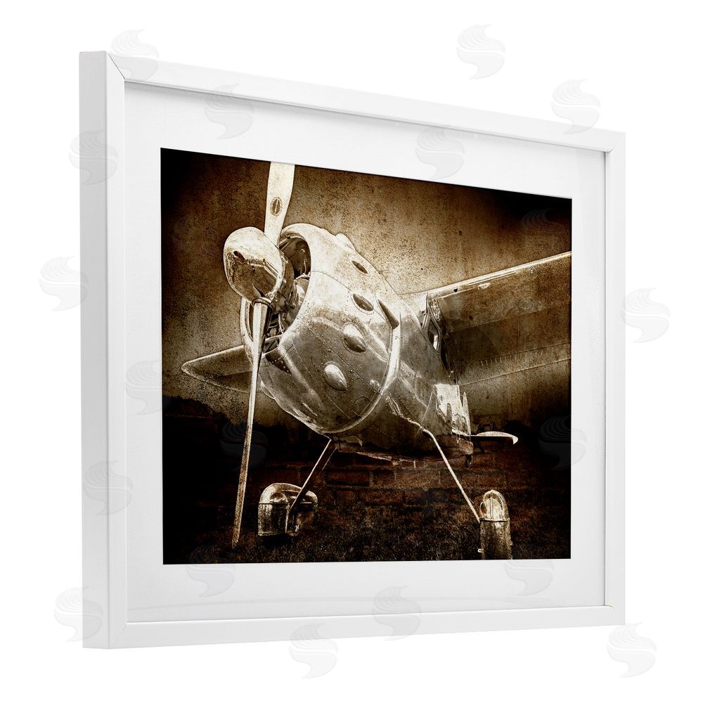 Kim Allen Taking Flight Vintage White Framed Print Under Glass Wall Art