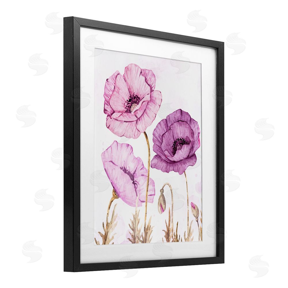 Kim Allen Bright Poppies in Purple Black Framed Print Under Glass Wall Art