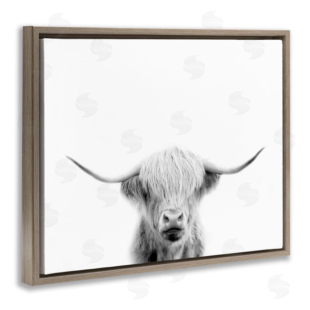 Leah Straatsma Scottish Cow Portrait Brown Floating Frame Canvas Wall Art Print