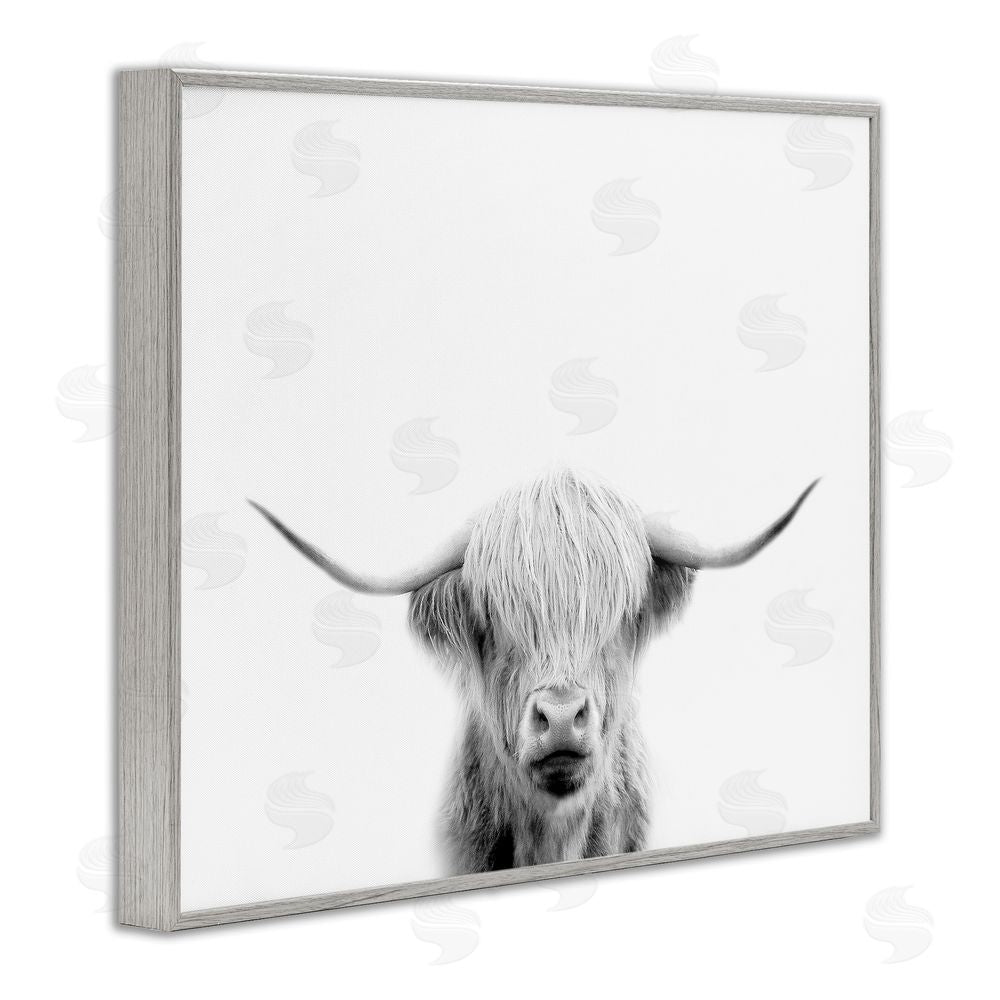 Leah Straatsma Scottish Cow Portrait Gray Framed Giclee Wall Art Print