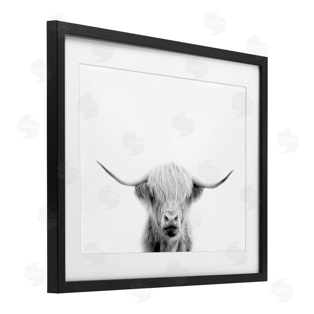 Leah Straatsma Scottish Cow Portrait Black Framed Print Under Glass Wall Art