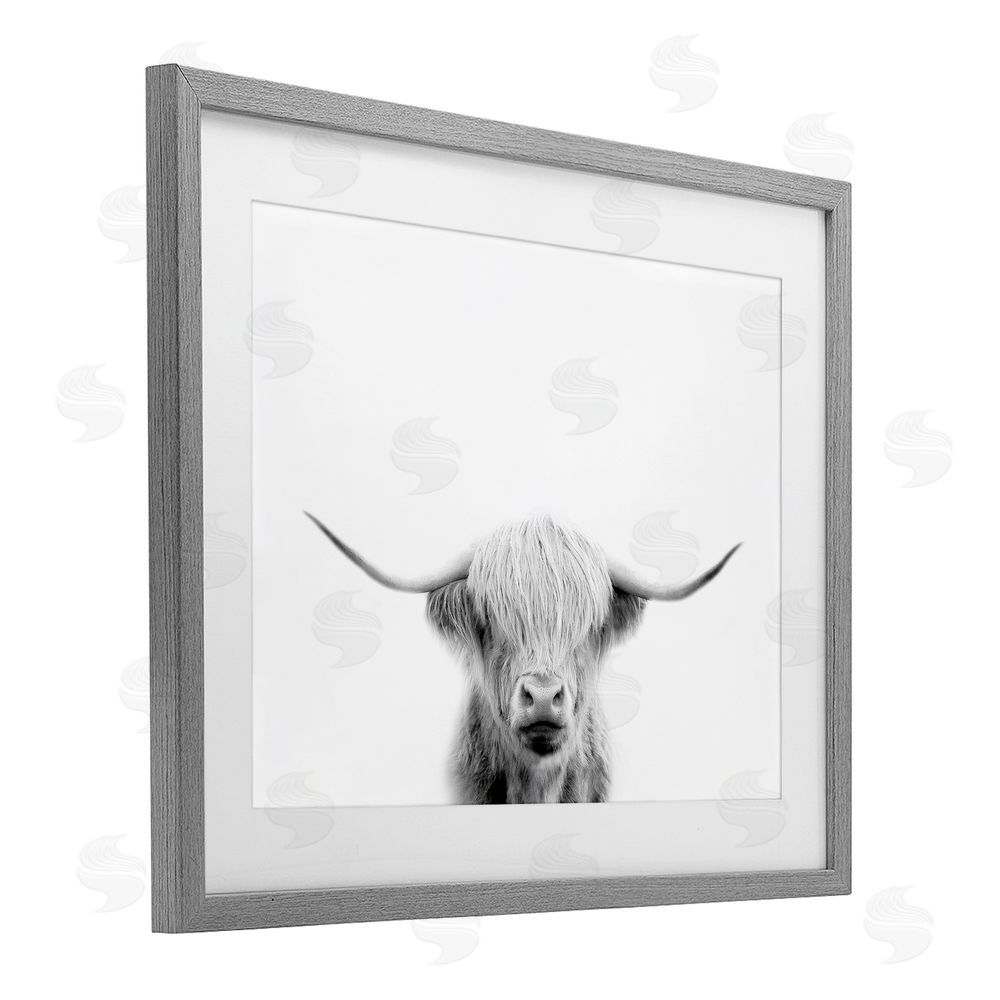 Leah Straatsma Scottish Cow Portrait Gray Framed Print Under Glass Wall Art